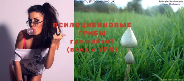 каннабис Пестово