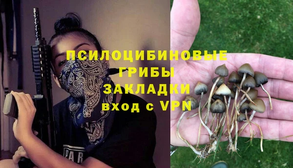 mix Пересвет