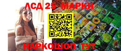стаф Донской