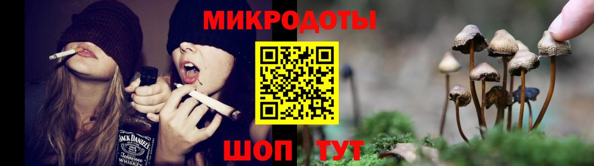 Котлас  Псилоцибиновые грибы прущие грибы  Вход с VPN 
